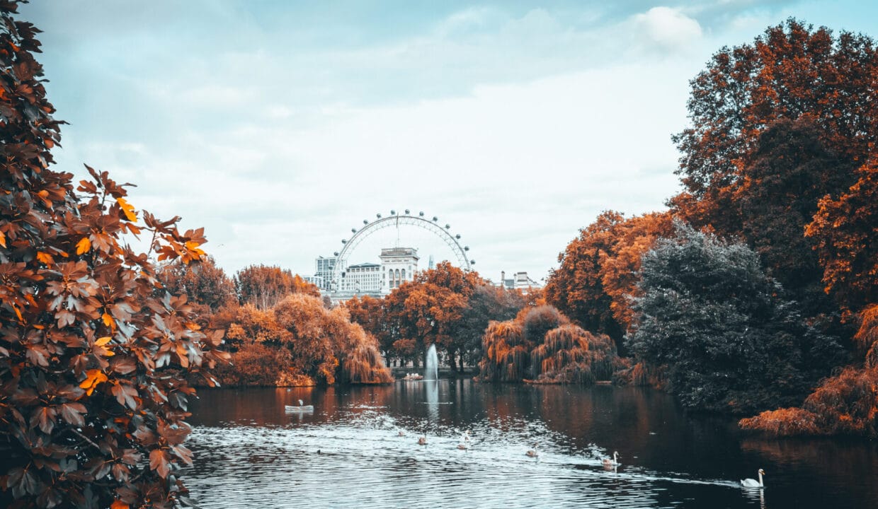 best areas to live north london​