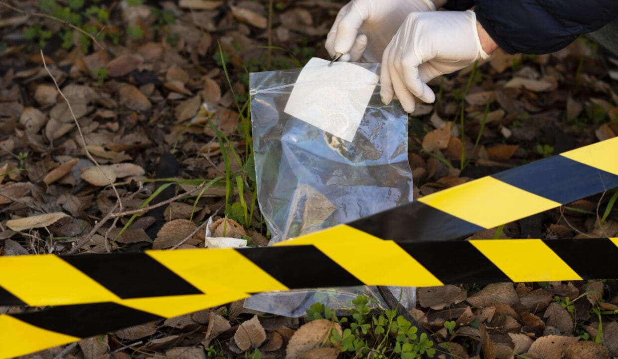 st albans crime rate​