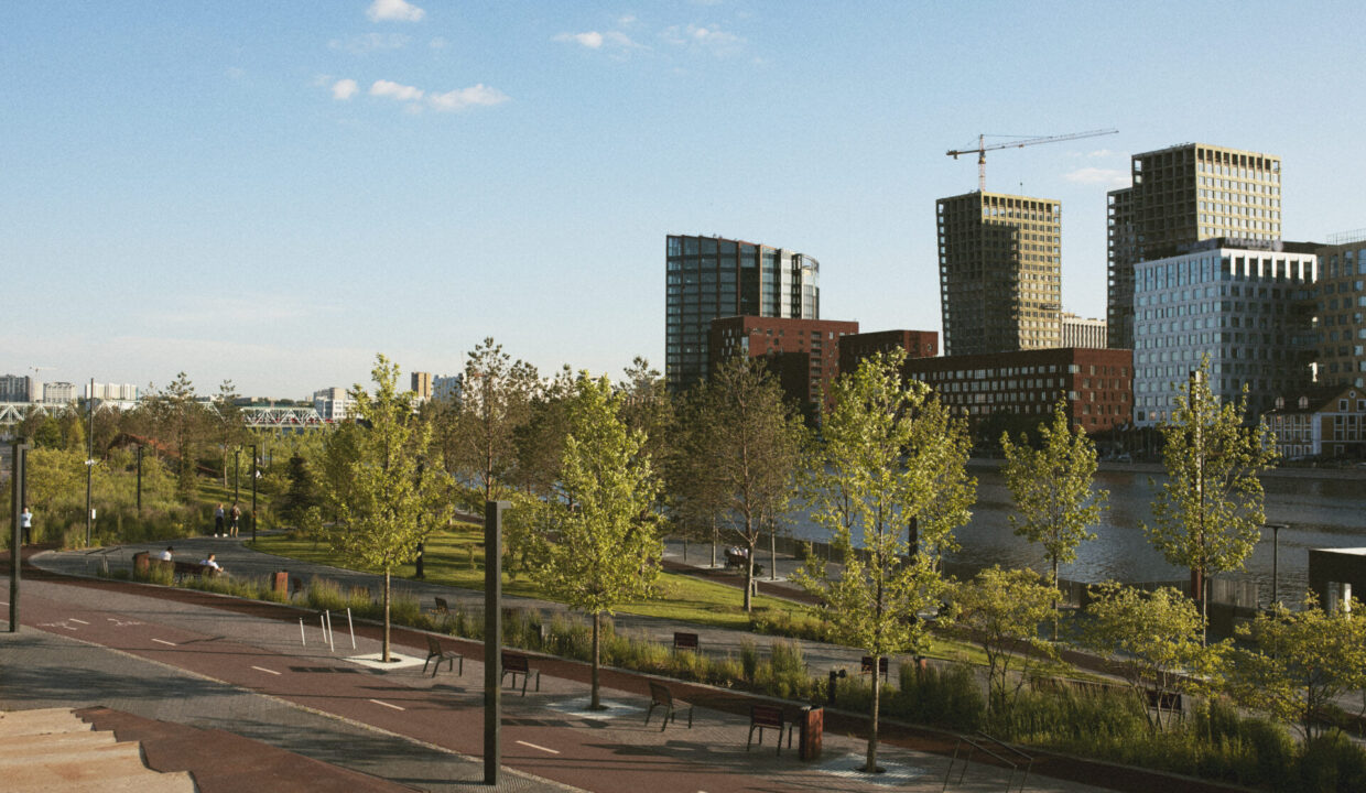Regeneration Areas in Birmingham