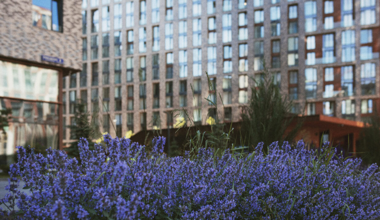 Garden Flat