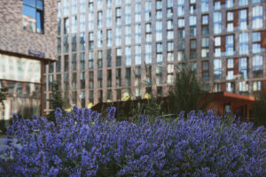 Garden Flat